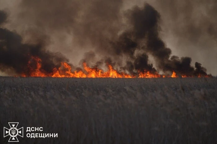 На Одещині сталася масштабна пожежа (фото)