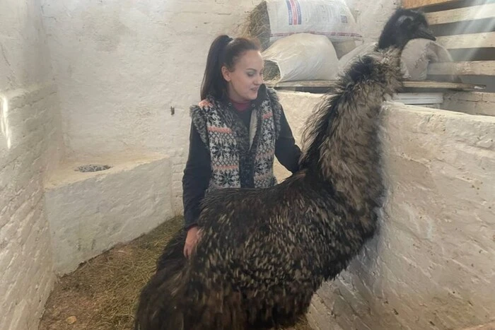 The ostrich in the Sumy zoo was brought from Kharkiv