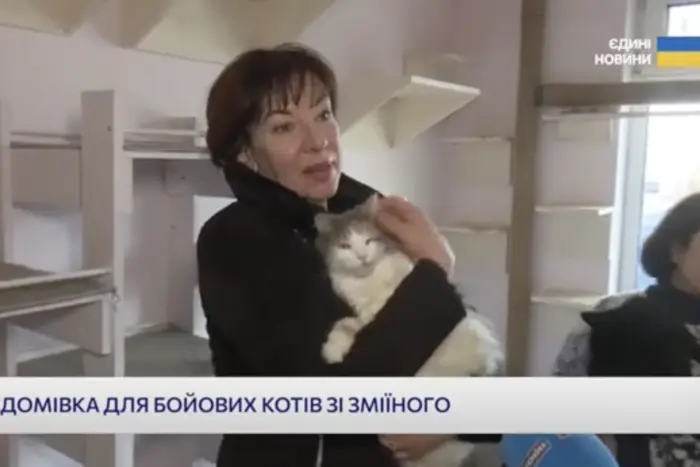 The wife of a Hero who fell in battle for Zmiinyi takes care of an evacuated cat