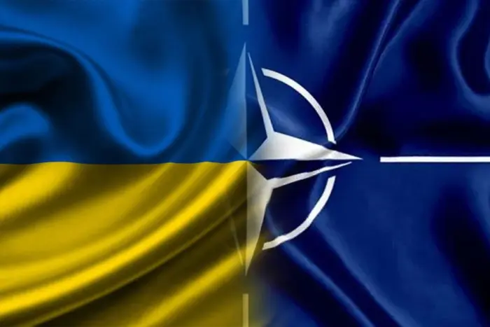 Wie viele Ukrainer sind bereit, dem NATO-Beitritt ohne besetzte Gebiete zuzustimmen: Umfrage