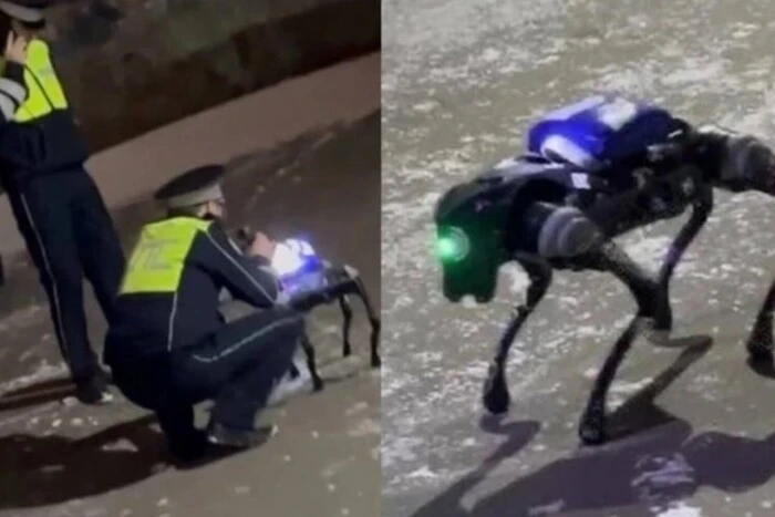 Robotic Dog-Narcotics Courier in Moscow