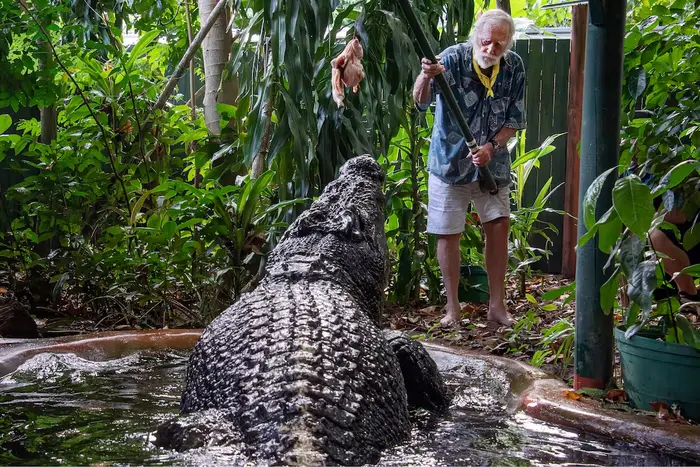 World's largest crocodile dies