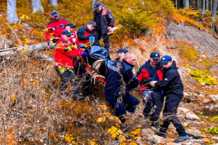 Searching for mushroom pickers in the Carpathians