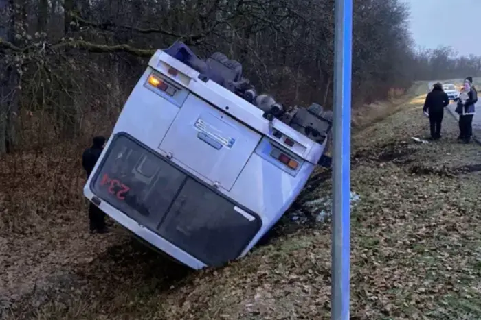 Na Zakarpaciu przewrócił się autobus pasażerski: są ranni (foto)