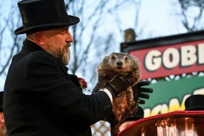 Announcement during Groundhog Day 2025: prediction of the American 'brother' of Tymka