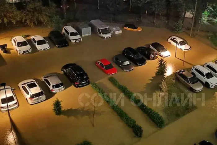 The river has overflowed in Sochi