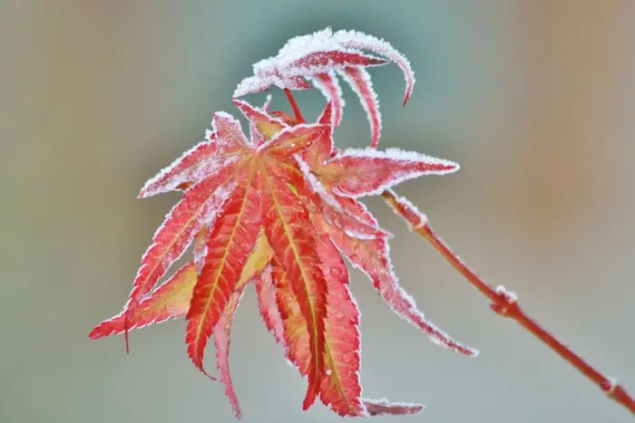 Dangerous weather phenomena in Ukraine