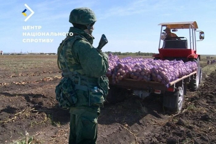 Грабеж урожая фермеров на оккупированных территориях