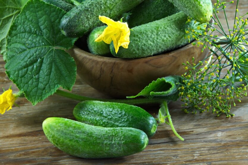 Prices for greenhouse cucumbers have risen