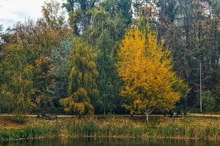 Deszcze i burze nadchodzą nad kilkoma obszarami: prognoza pogody na 15 września