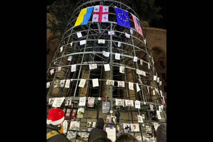 In Tiflis hängten Demonstranten die Flagge der Ukraine an den Weihnachtsbaum (Foto)