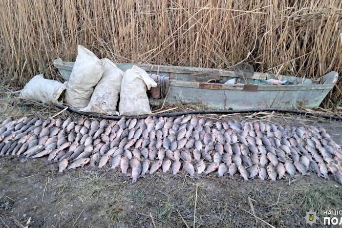 Man with a large fish catch