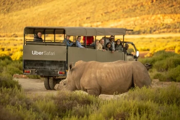 Przejazd taksówką na safari: Uber wprowadza nową usługę dla turystów