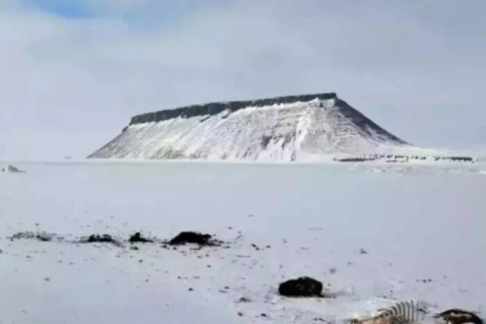 Die NASA-Expedition fand unter dem Eis in Grönland eine geheime Stadt