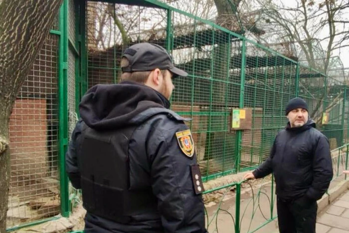 Леопард напал на работника зоопарка