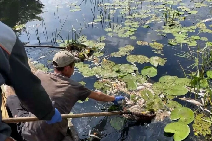 Der Fluss Seim wurde in Russland verschmutzt: Das Ministerium für Ökologie hat Details bekannt gegeben