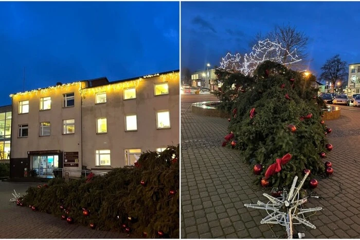 Trees fell in the cities of Lithuania