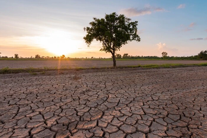 UN-Klimatologen behaupten, dass das letzte Jahr das trockenste der letzten 30 Jahre war