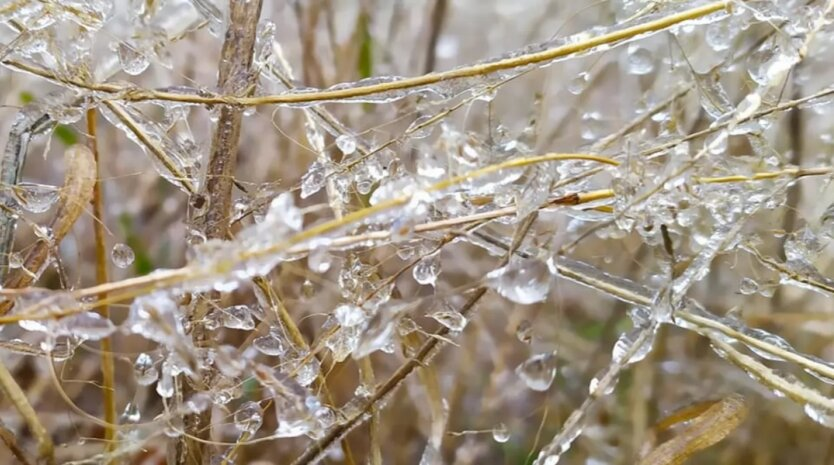 Temperaturanstieg, aber mit Schnee und Regen: Didenko warnte vor Wetteränderungen