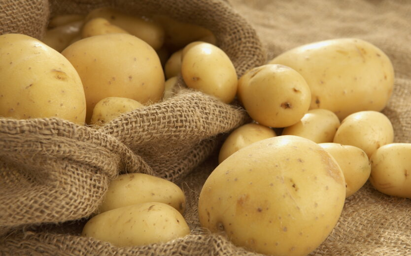 Potato prices are rising to record levels