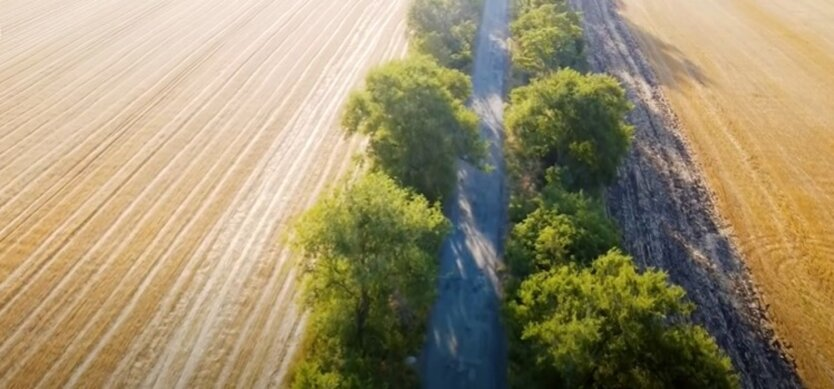 Українці засмічують поля мусором