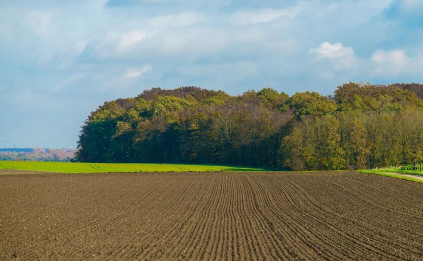 Verpassen Sie nicht die Frist: Wann endet die Privatisierung von landwirtschaftlichen Anteilen