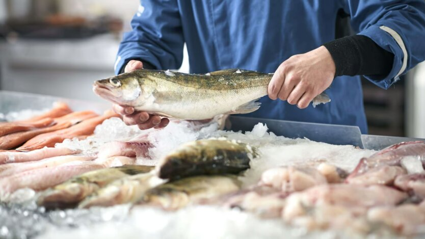 Die Ukraine deckt ihren Fischbedarf nur zu 10%