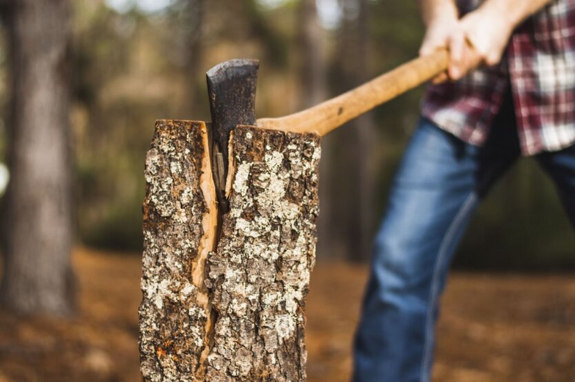 Strafen für Holz: Wie man legal für die Heizsaison vorrüstet