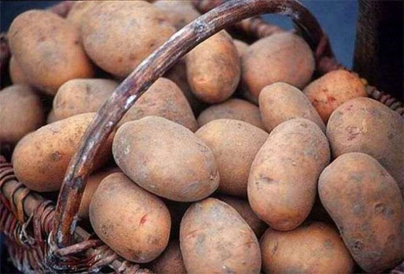 Potato prices in January