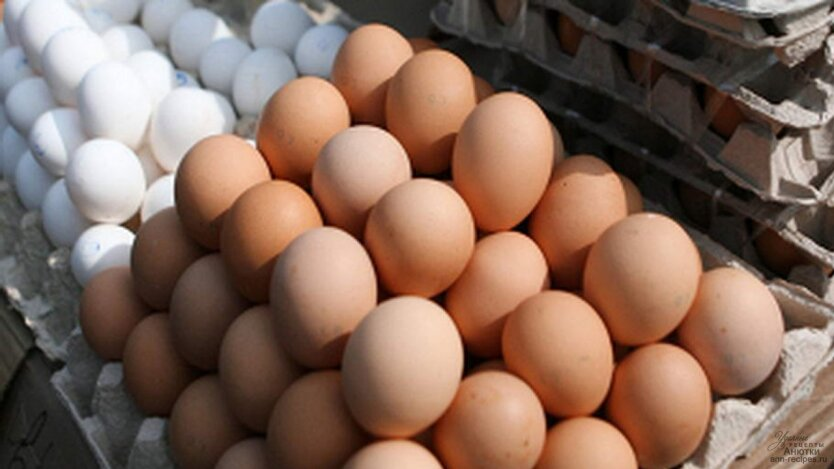 Price drop: eggs are getting cheaper, oil is getting more expensive