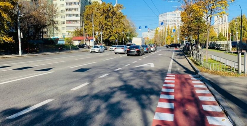 Driver performing maneuver between zigzag lines