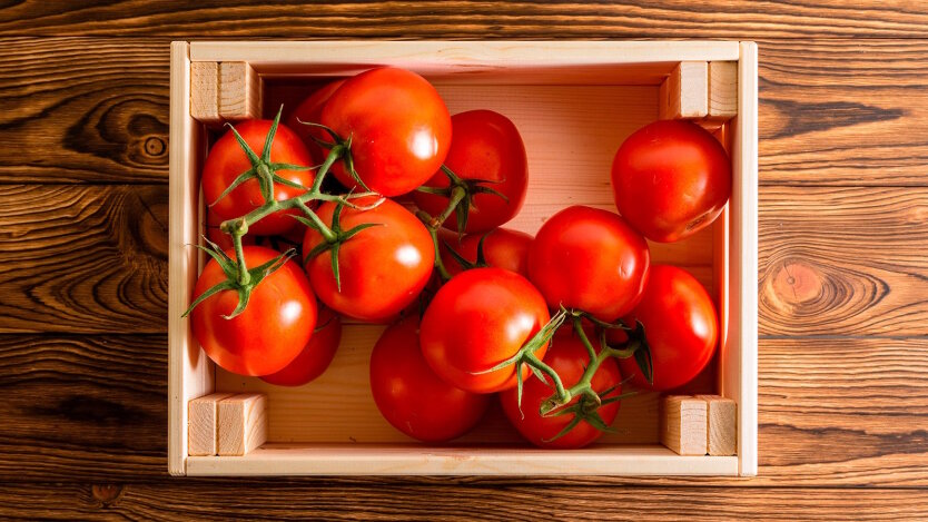 Die Preise für Gewächshaus-Tomaten in der Ukraine haben einen Rekordwert von 7 Jahren erreicht: Wie viel kostet ein Kilogramm