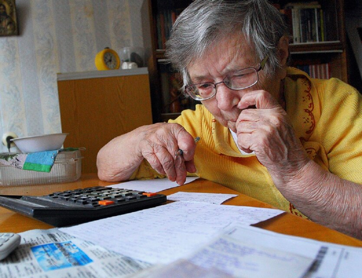 A woman fills out a subsidy application form