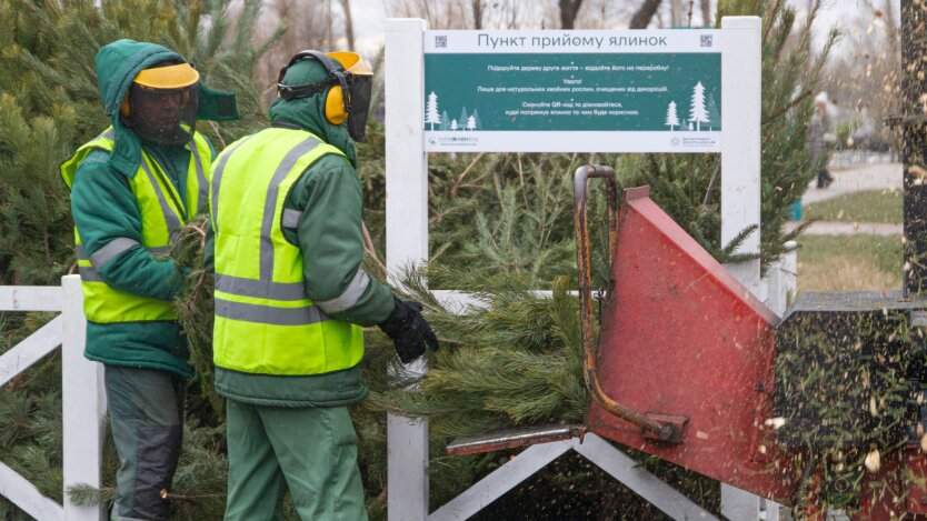 Wohin mit dem Weihnachtsbaum nach den Feiertagen: In Kiew haben Dutzende von Annahmestellen eröffnet