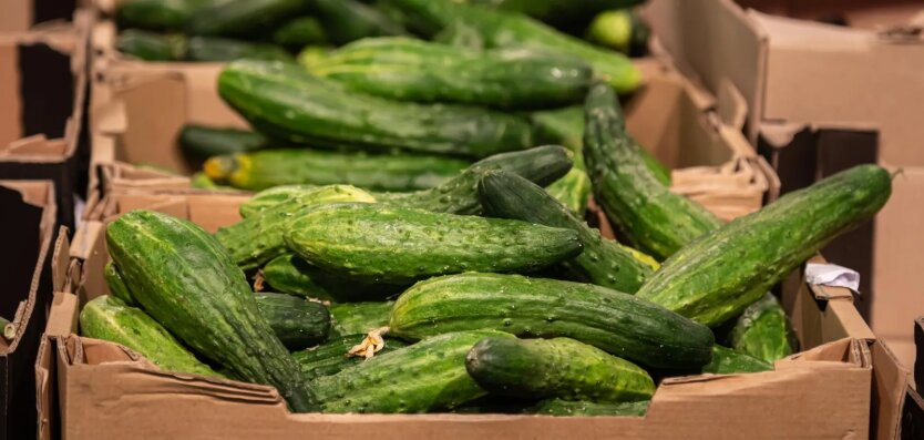 Cucumbers and tomatoes in the supermarket