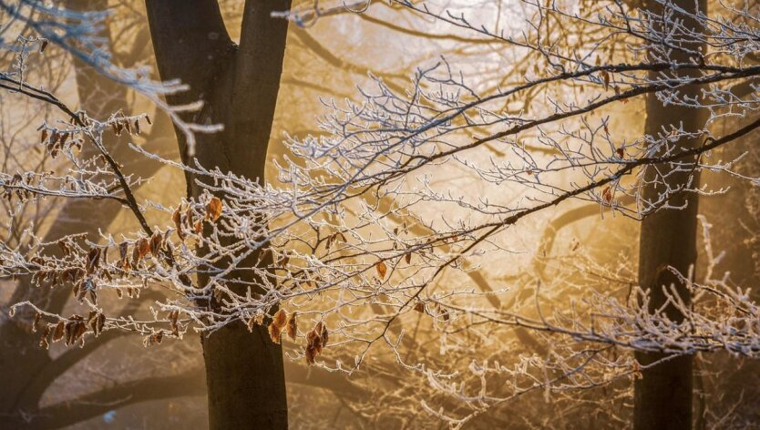 Schnee, Regen, starker Wind und dann Erwärmung: Meteorologe Didenko warnte vor Wetter 'Achterbahnfahrt'