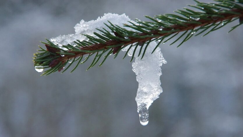 Ukraine winter snow frost -9