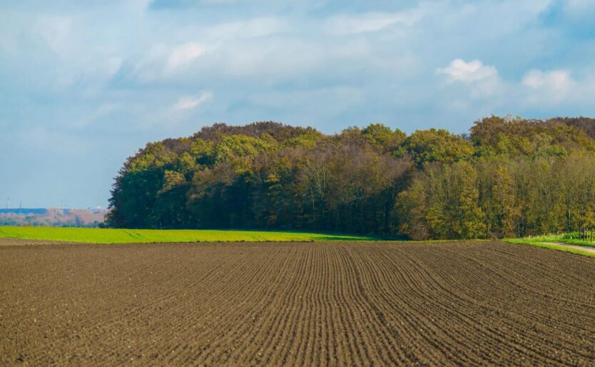 Die Ukraine hat ein Fünftel ihrer landwirtschaftlichen Flächen durch den Krieg verloren