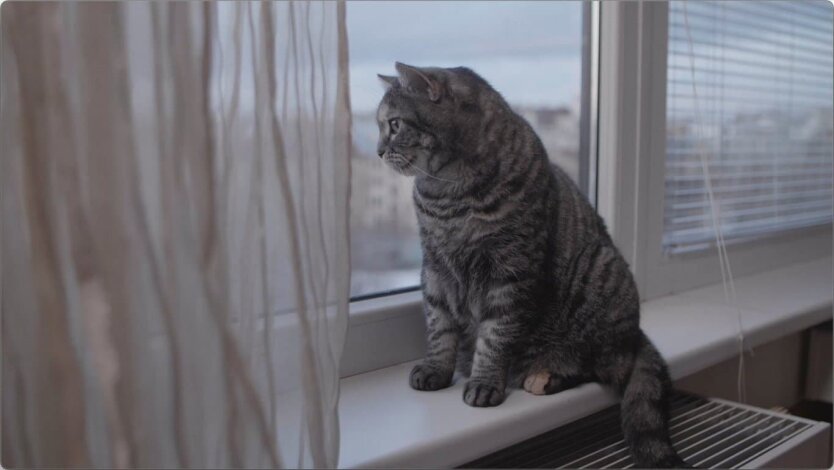 Kyiv Region Residents Warned About Rainy Weather, But With Warmth