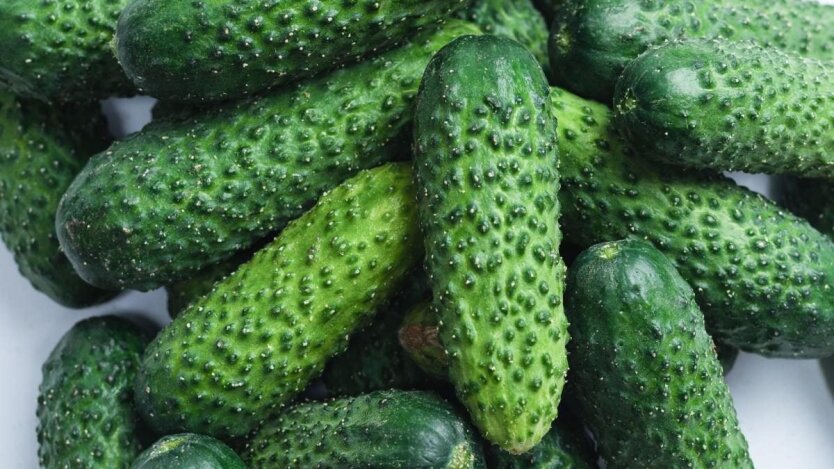 Cucumbers at excessive prices: reason for price increase