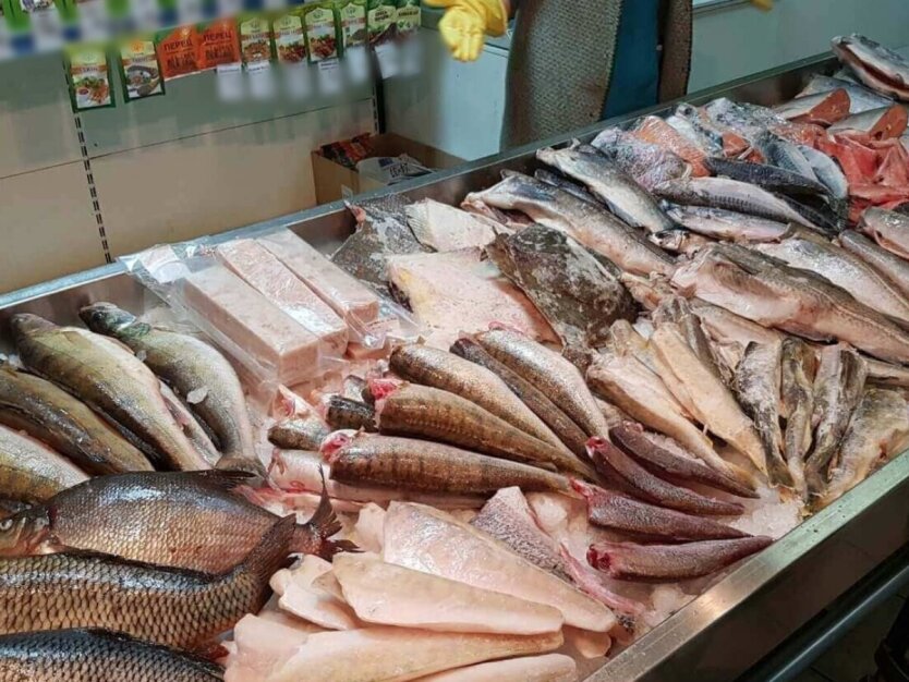 Fischpreise in der Ukraine: Wie viel kosten Hering, Makrele und Karpfen?