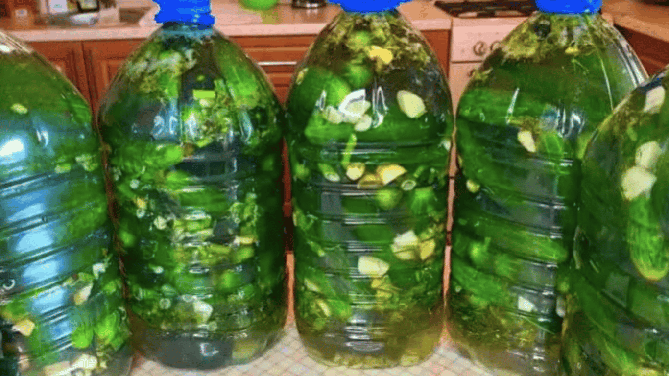 Proper pickled cucumbers without a barrel — you will need a 5-liter bottle