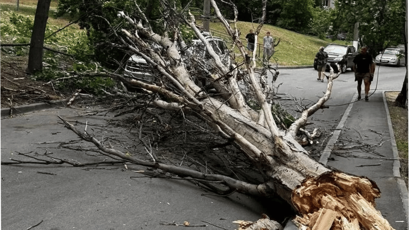 Meteorologen warnen morgen vor Unwettern in der Region Charkiw