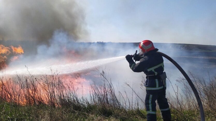 Штрафи та в'язниця за спалювання трави