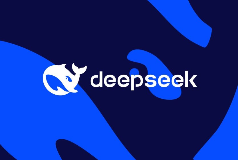 DeepSeek transmitted user data