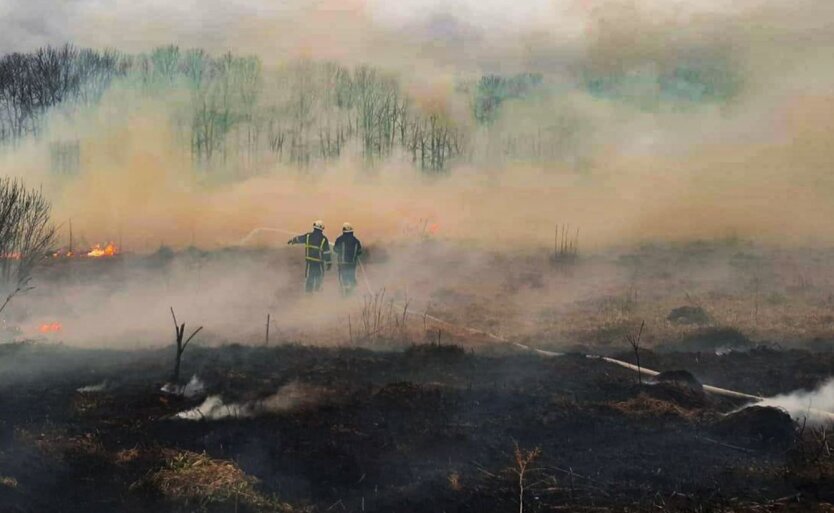 У Мін'юсті пояснили, як покарають українців за спалювання листя та сухостою